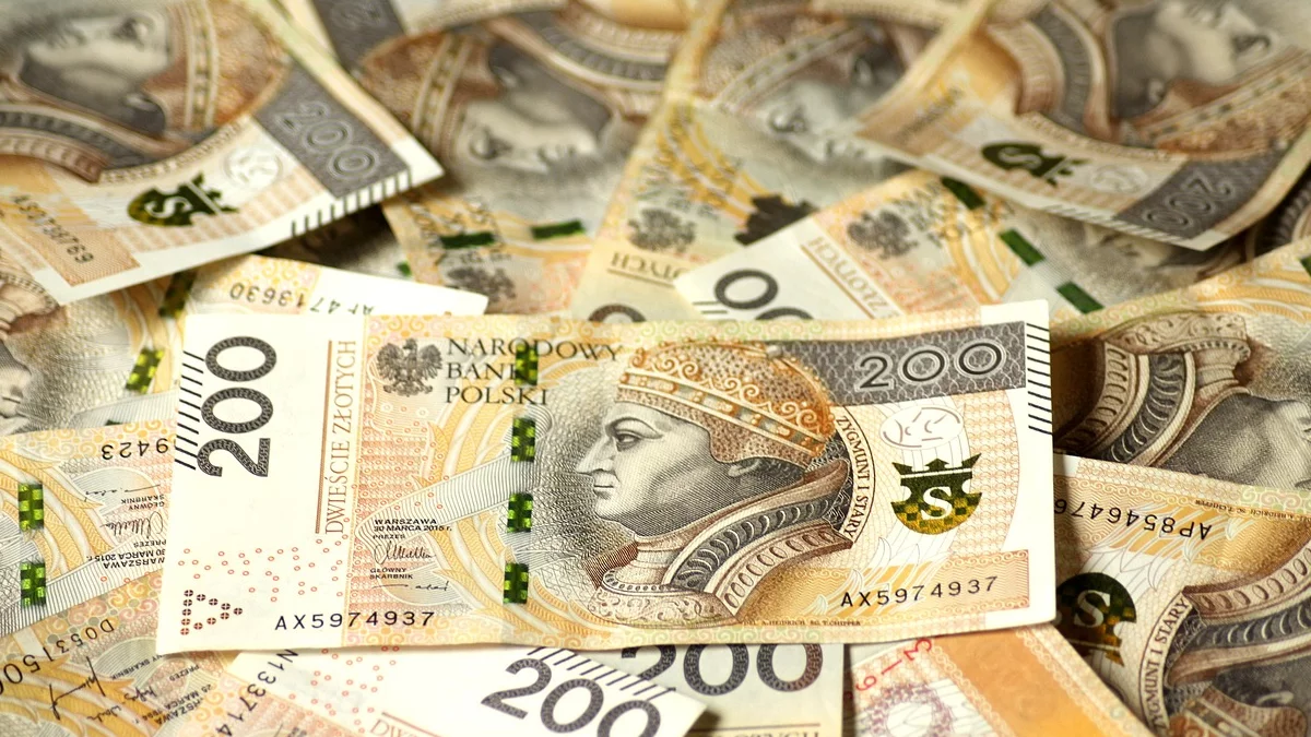 Rewolucja w programie 800 plus? Nie 800, a 1600 złotych na pierwsze dziecko - Zdjęcie główne