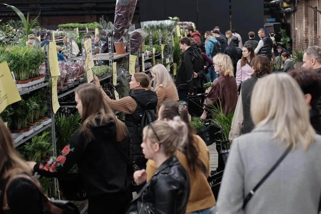 Festiwal Roślin w Płocku. Zapewniają, że nigdzie nie jest taniej. Wybierzecie się? - Zdjęcie główne