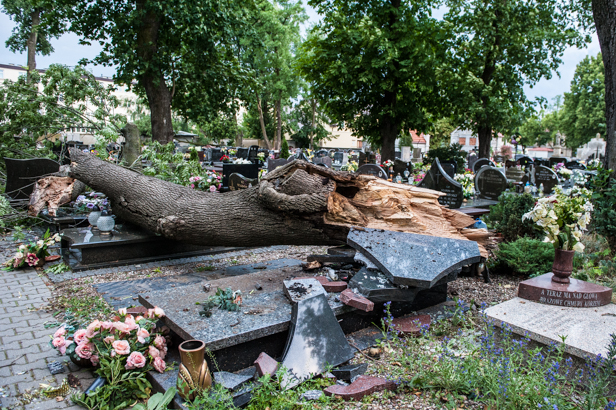 Roztrzaskane groby na cmentarzu [FOTO] - Zdjęcie główne