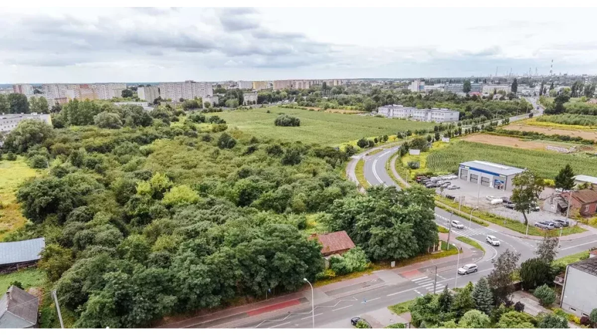 Są miliony na duży park w Płocku. Ma powstać  obok planowanych torów CPK - Zdjęcie główne