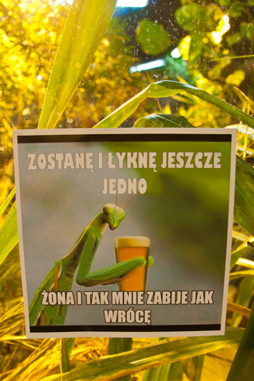 Zew natury bez cenzury w płockim zoo - Zdjęcie główne