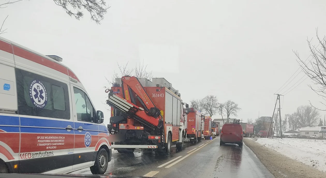 Wywrócił się tir z trzodą chlewną. Są utrudnienia w ruchu - Zdjęcie główne