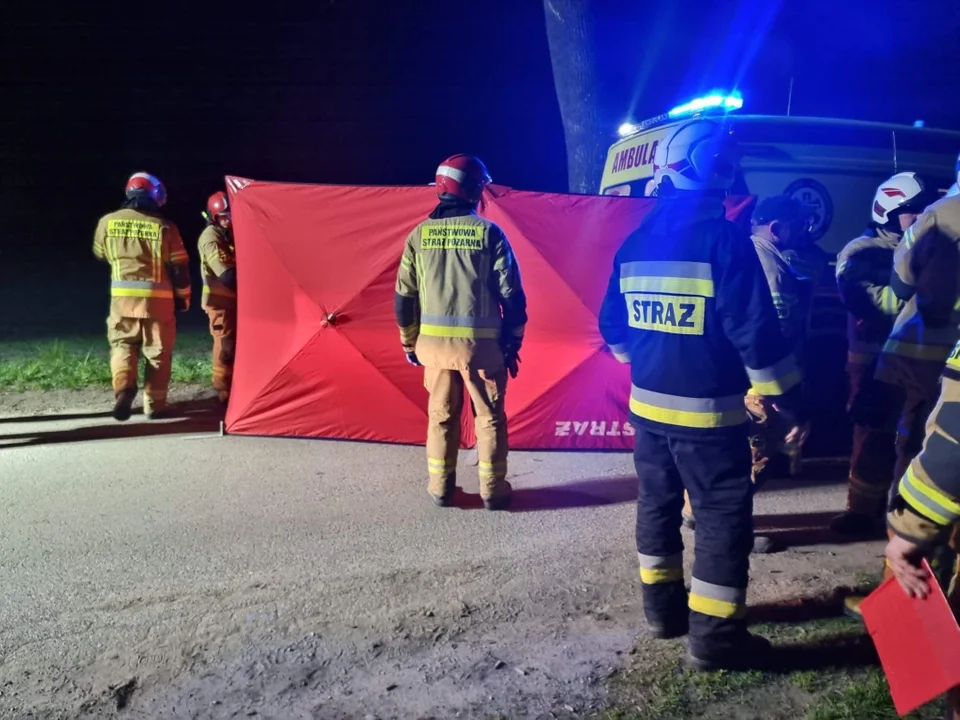 Śmiertelny wypadek niedaleko Płocka. BMW uderzyło w drzewo [ZDJĘCIA] - Zdjęcie główne