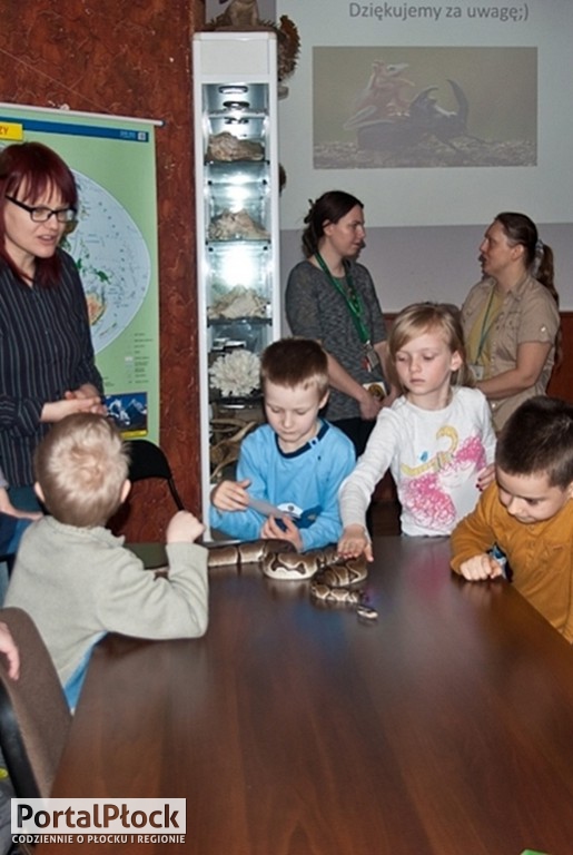 Wąż pełzł po stole, żaba na podłodze - Zdjęcie główne