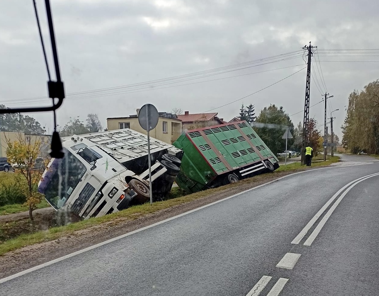 Samochód ciężarowy w rowie. Kierowca stracił panowanie nad pojazdem - Zdjęcie główne