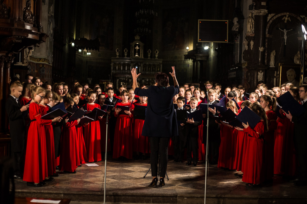 Koncerty organowe w płockiej katedrze - Zdjęcie główne