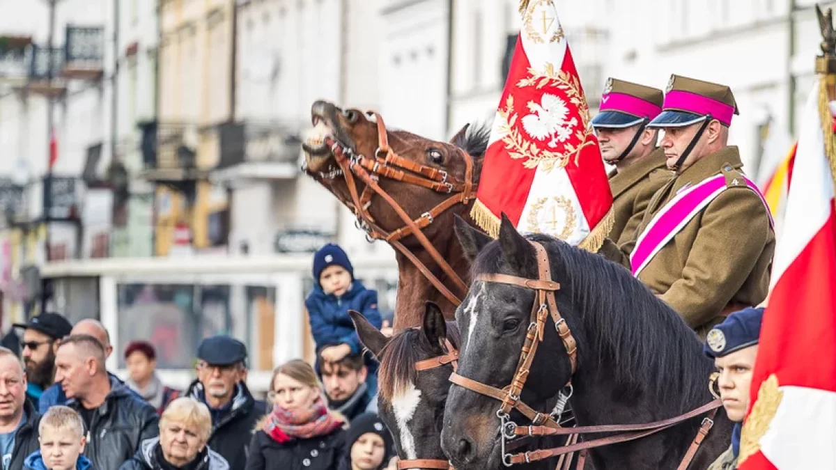 Koncert, pieśni patriotyczne i rosół z gęsiny. Uroczystości patriotyczne w Płocku [PROGRAM] - Zdjęcie główne