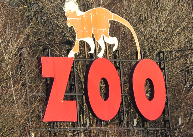 Nowości: biletomaty w zoo, bilety przez sieć - Zdjęcie główne