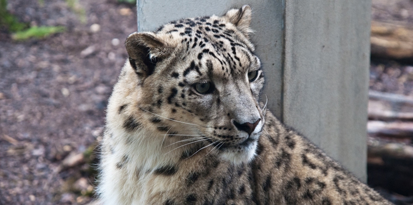 Przyszli do zoo specjalnie dla nich. Umiały się zachować - Zdjęcie główne