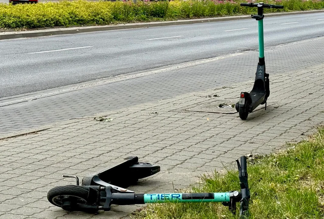 Porzucają je na chodnikach, trawnikach, ścieżkach! "To bardzo duży problem" - Zdjęcie główne