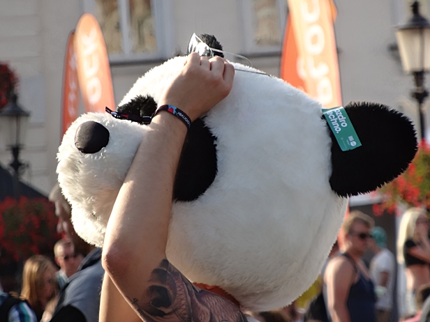 Tłumy na starówce. Krokodyl,panda…[FOTO] - Zdjęcie główne