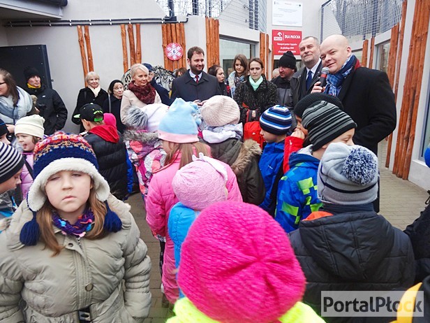 Chodźcie do zoo. Tygrys i pantera czekają - Zdjęcie główne