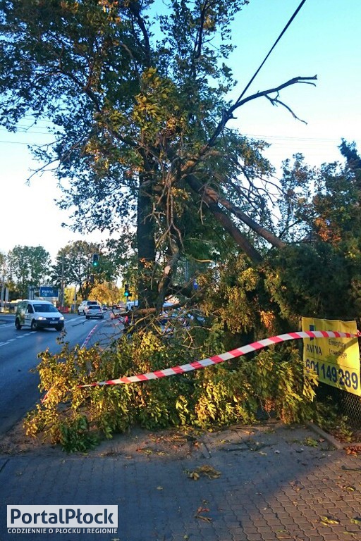 Wichura przeszła nad Płockiem - Zdjęcie główne