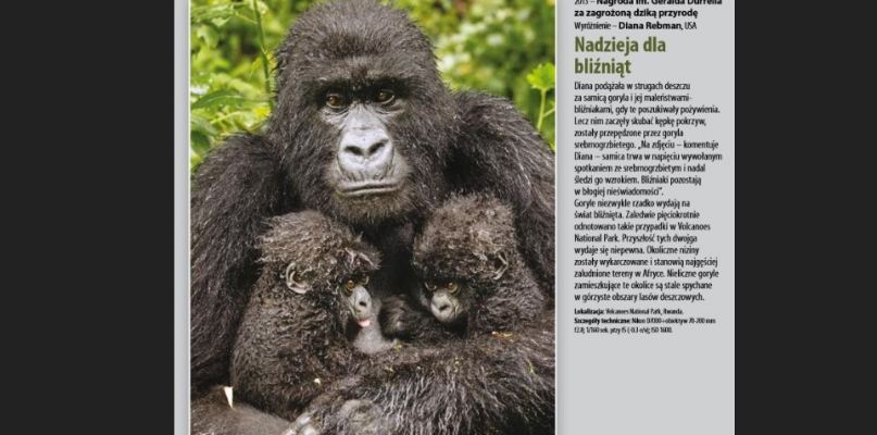 Płockie ZOO zaprasza na niezwykłą wystawę - Zdjęcie główne