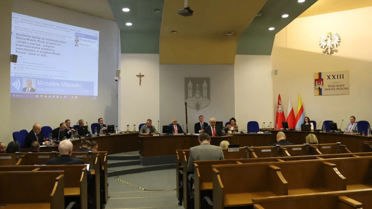 Rada dostrzegła problem z radami osiedlowymi, ale proceder się nie skończy. Przynajmniej w tej kadencji