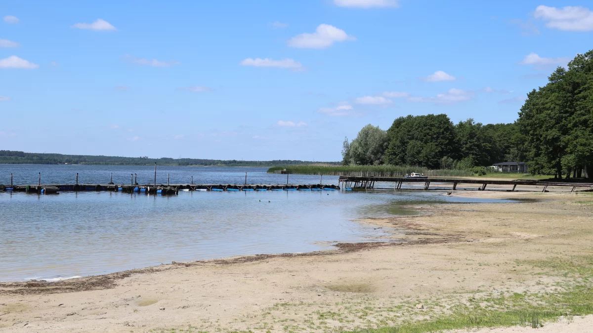 Jezioro umiera od lat, a działań brak. Efekt? Nie można przepłynąć z jednego końca na drugi