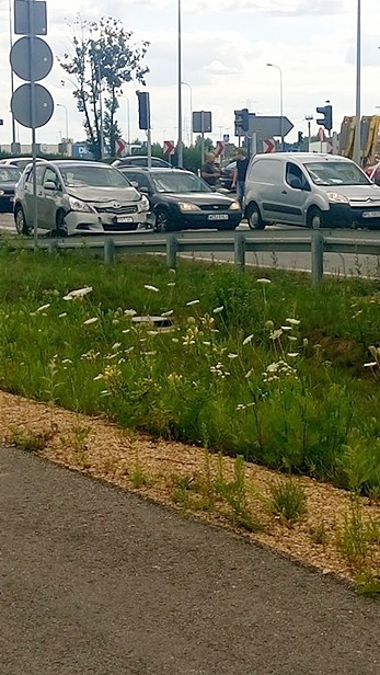 Zderzenie dwóch aut na rondzie - Zdjęcie główne