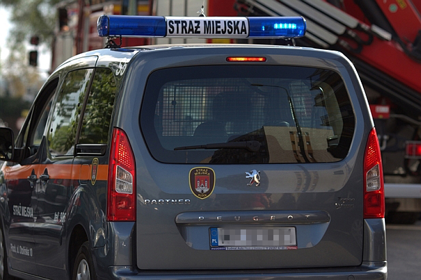 Patrol sprawdzał piwnice. Znalazł narkotyki - Zdjęcie główne