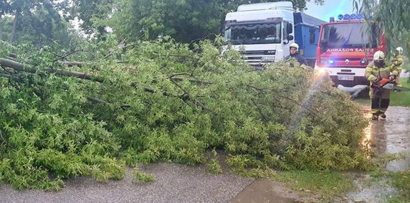 Poniedziałkowa burza dała się we znaki - Zdjęcie główne