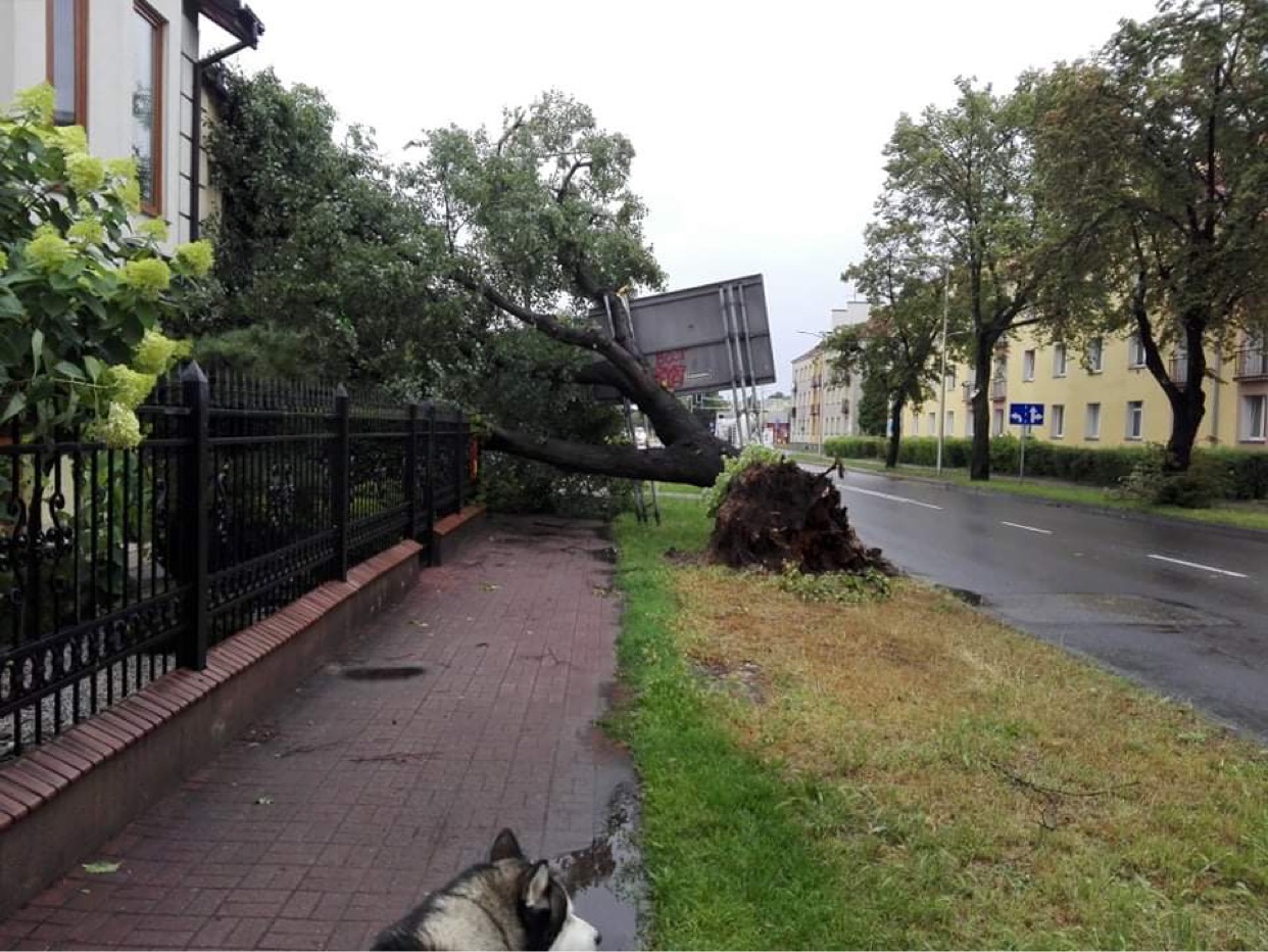 Ogromna burza nad Płockiem. Mnóstwo zniszczeń i interwencji. - To co się działo jest nie do opisania [ZDJĘCIA] - Zdjęcie główne