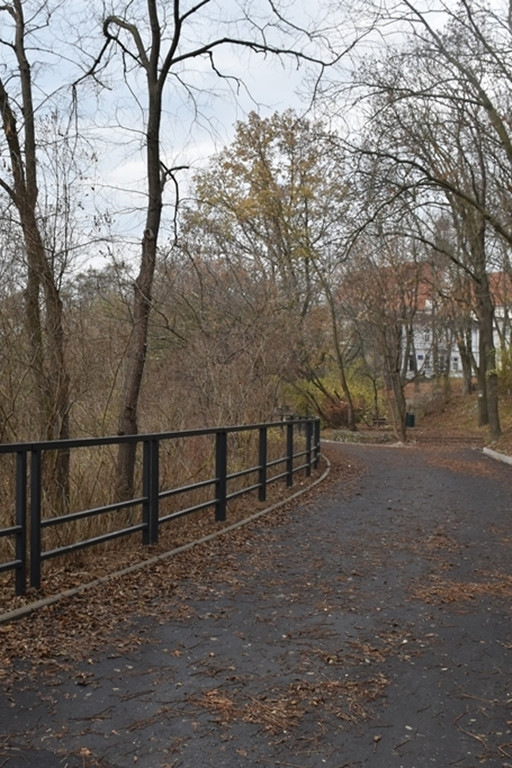 Park na Górkach po zmianach - Zdjęcie główne