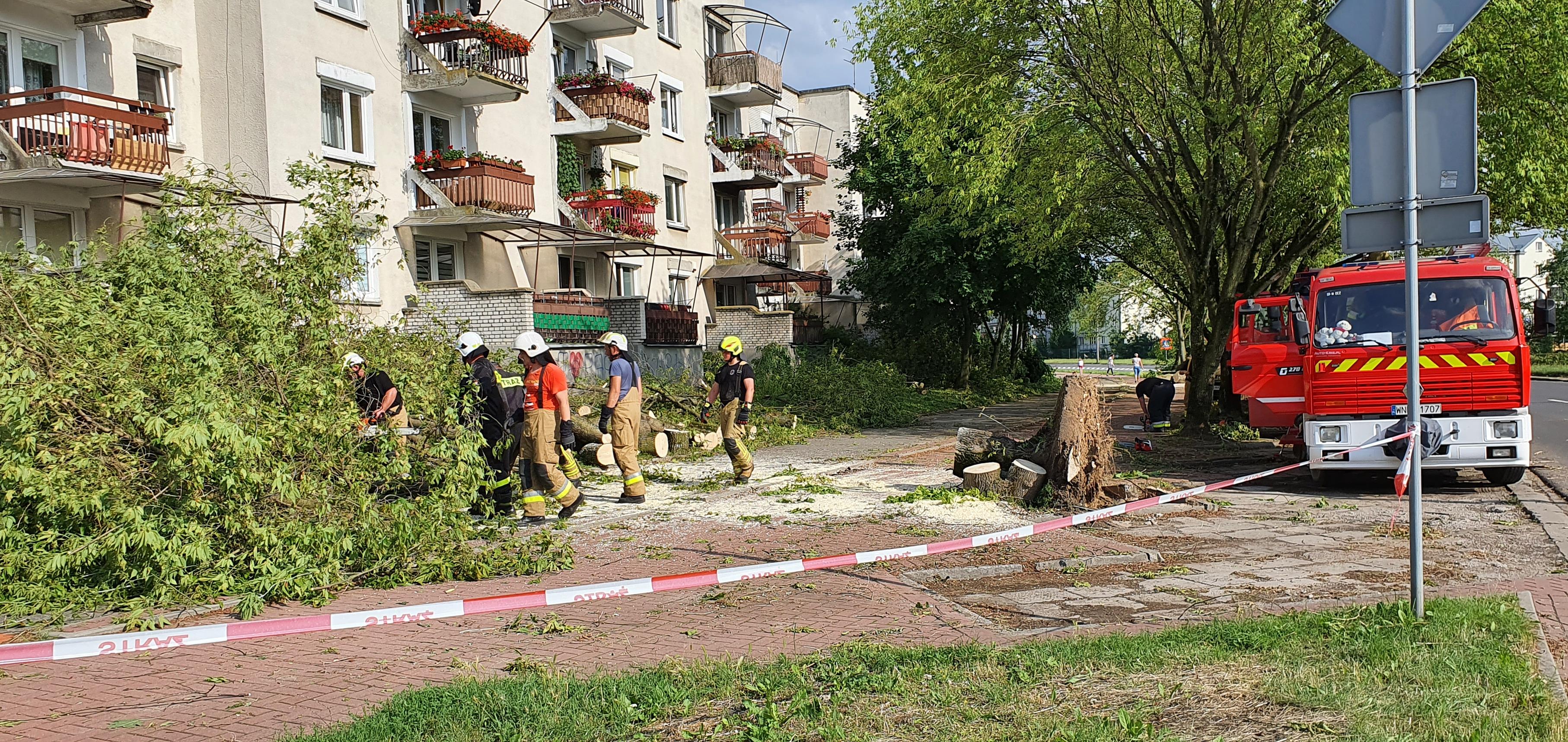 Podolszyce i Zielony Jar po nawałnicy. Trwa usuwanie szkód [FOTO] - Zdjęcie główne