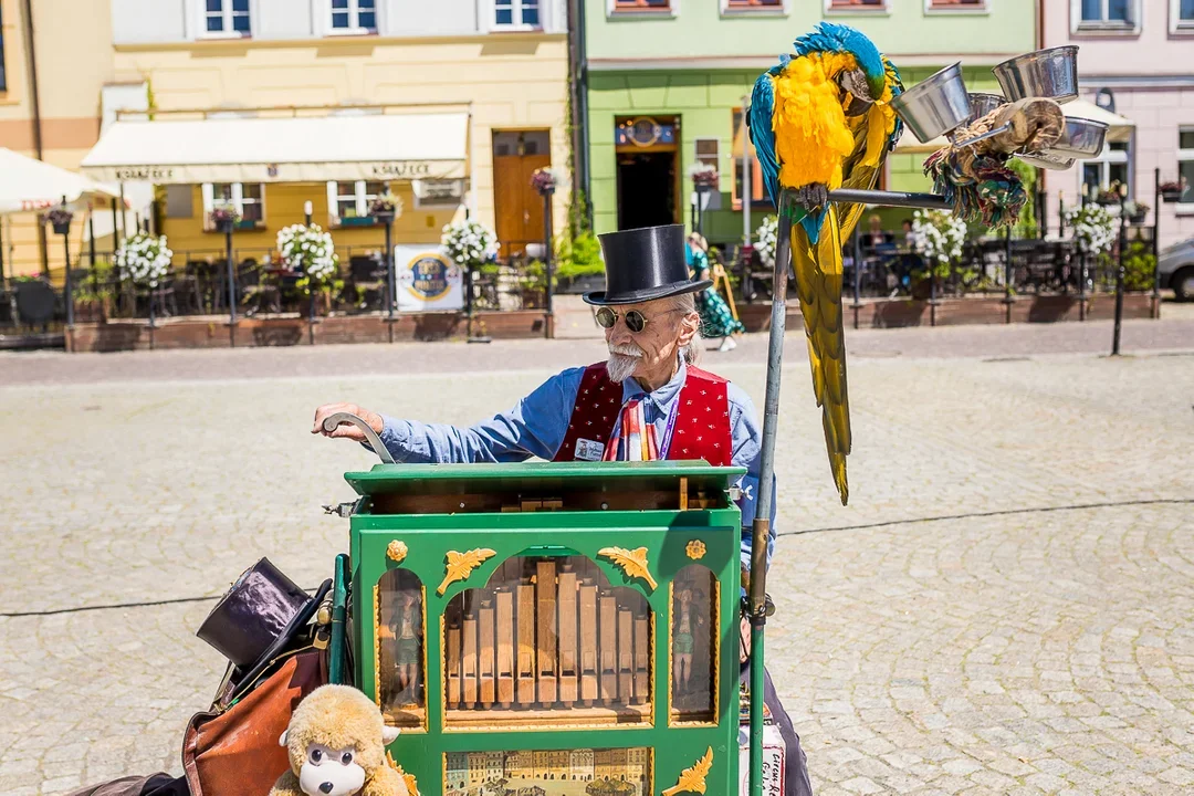 Działo się w ten weekend. Przeżyjmy to jeszcze raz! [ZDJĘCIA] - Zdjęcie główne