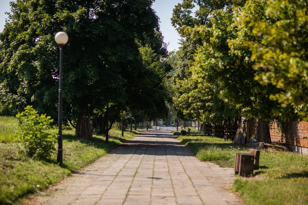 Startuje przebudowa alei Spacerowej. - Zbudujemy ją praktycznie od podstaw - Zdjęcie główne