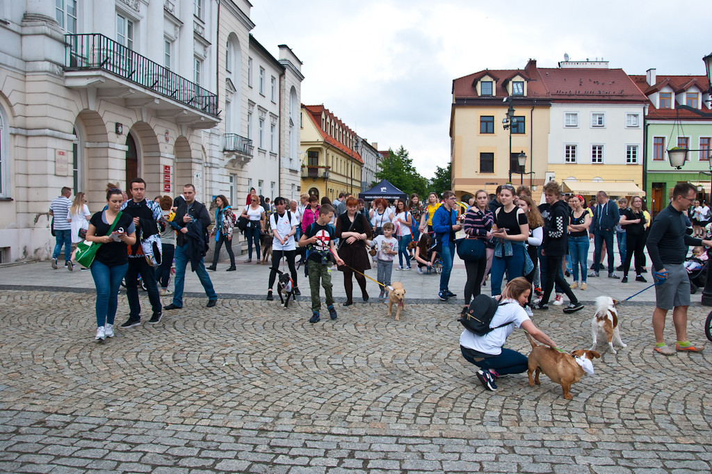 Spacer poszukiwaczy zaginionego domu - Zdjęcie główne