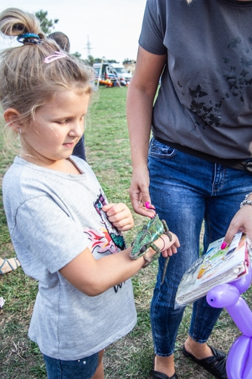 Piknik na zakończenie wakacji - Zdjęcie główne