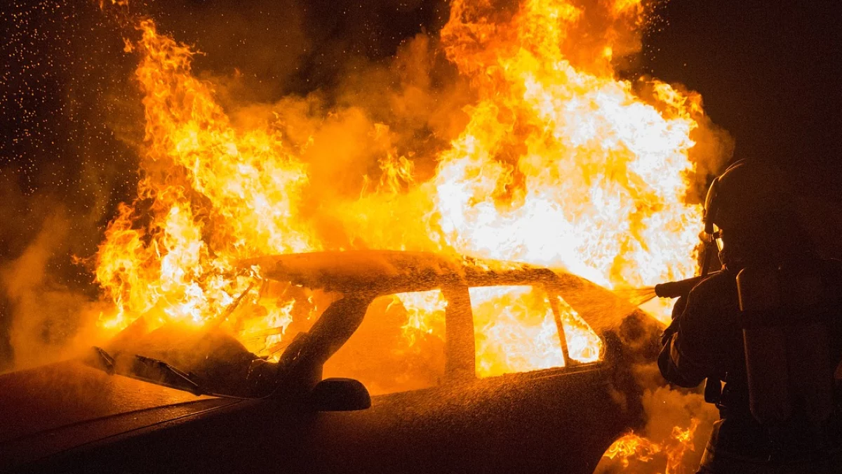 Nocny pożar w Płocku. Kilka samochodów doszczętnie spłonęło - Zdjęcie główne