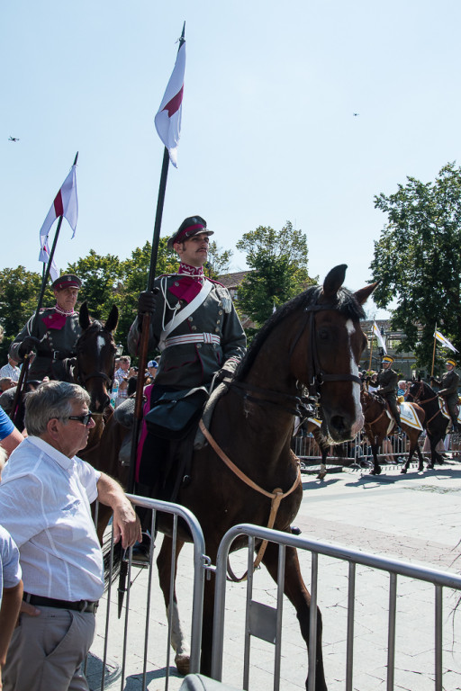 Pokaz konny przed ratuszem - Zdjęcie główne