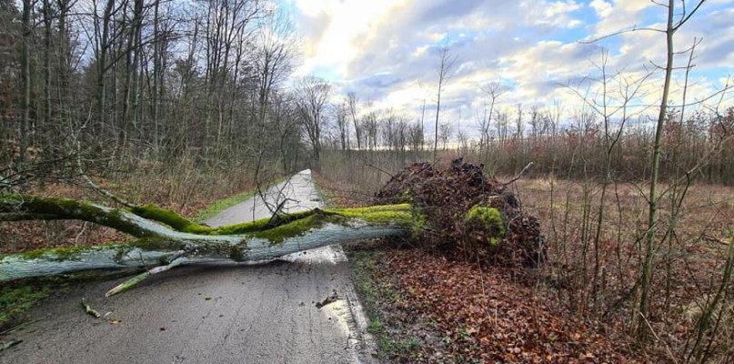 Jak przejechać? Skutki wichury w powiecie płockim - Zdjęcie główne