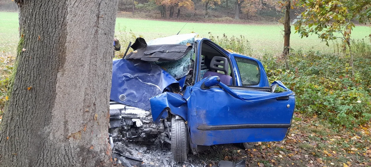 Osobówka „wbiła się” w drzewo. Trzy osoby zakleszczone w aucie [ZDJĘCIA] - Zdjęcie główne