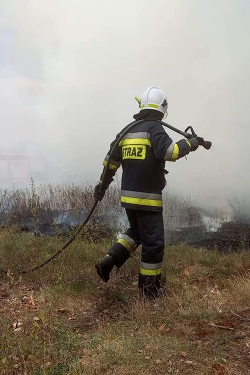 Silny wiatr uszkadzał dachy i łamał drzewa - Zdjęcie główne