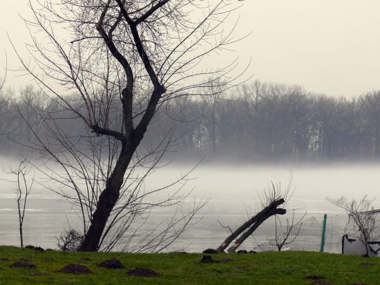 Ile są warte działki z wiślanym piachem? - Zdjęcie główne