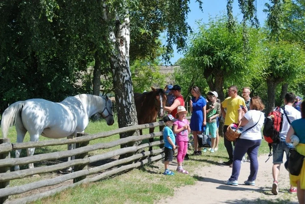 Diabelski młyn, Zenek i inni. Moc atrakcji w długi weekend w Płocku i regionie [lista] - Zdjęcie główne