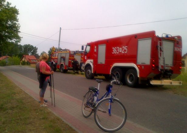 Kilka pożarów pod rząd. Boją się [FOTO] - Zdjęcie główne