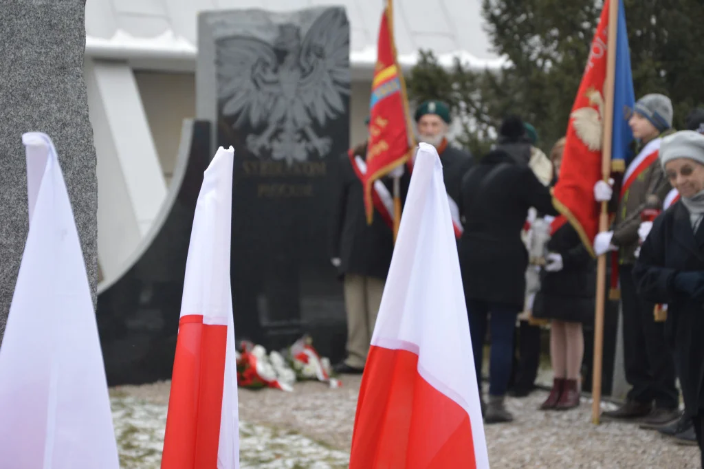 Wywózka na Wschód i likwidacja getta w Płocku. Uroczystości patriotyczne - Zdjęcie główne