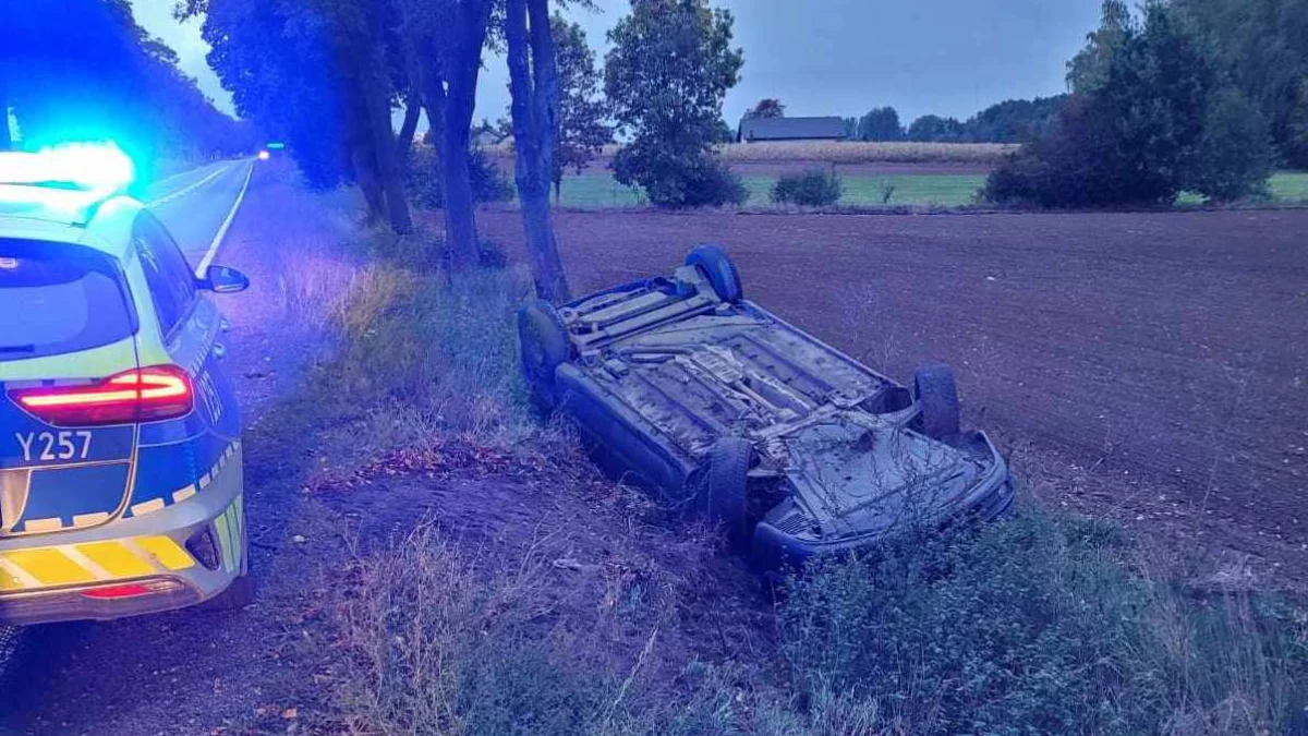 Dachowanie na drodze krajowej nr 60 pod Płockiem! Są utrudnienia, ruch wahadłowy! - Zdjęcie główne