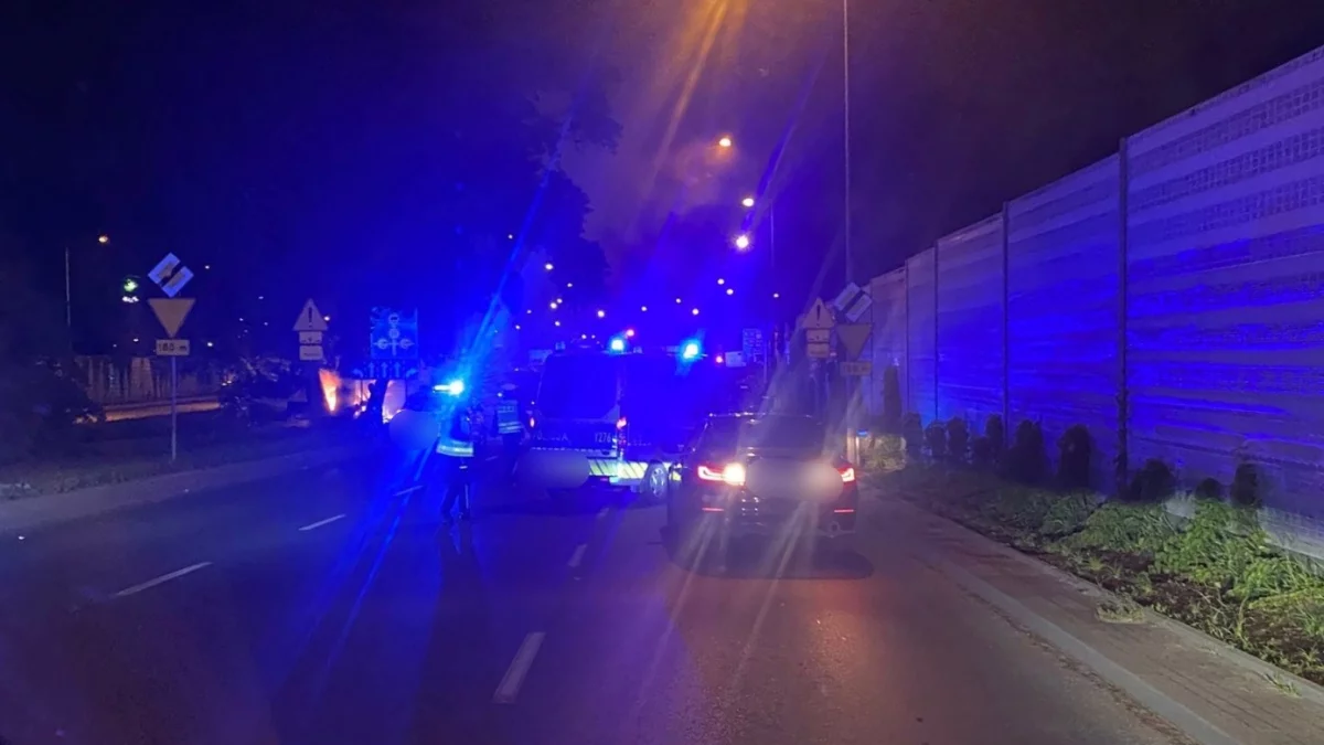 Dramat na drodze! Samochód stanął w płomieniach, dwie osoby nie żyją - Zdjęcie główne