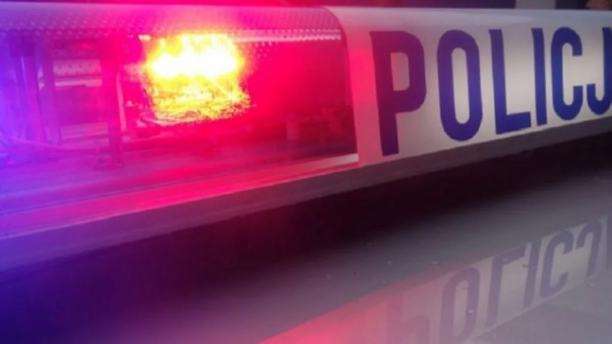 Wpadli podczas kontroli. Kierowca pijany, pasażer na celowniku policji