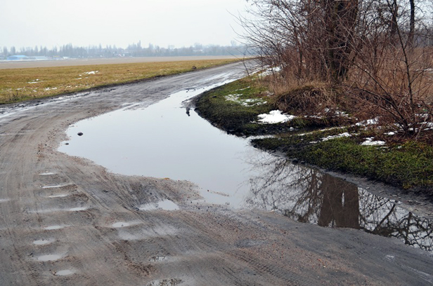 To nie ulica, to po prostu rynsztok [FOTO] - Zdjęcie główne