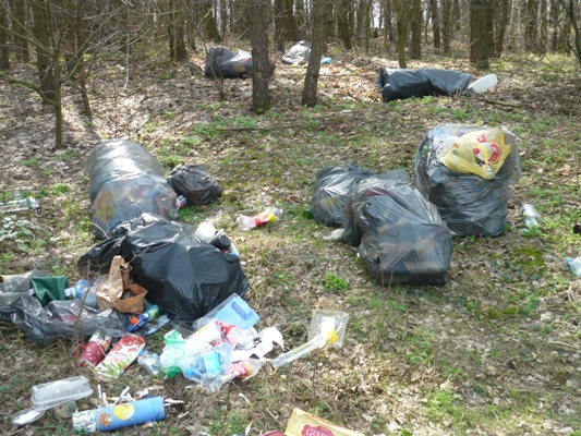 Nie ma jak sąsiedzka czujność [FOTO] - Zdjęcie główne