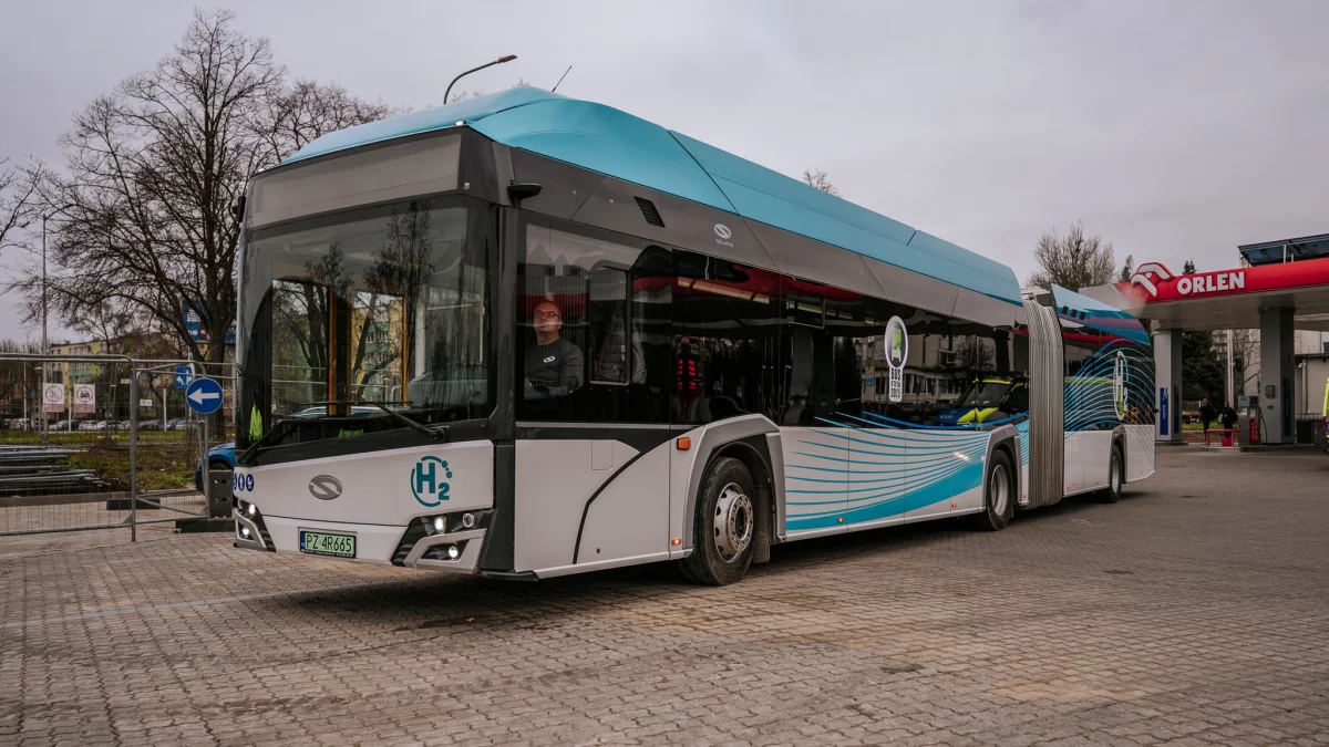 W Płocku można będzie jeździć komunikacją miejską bez biletu. Ale tylko na wybranych liniach