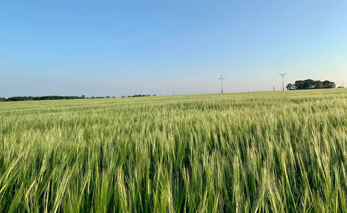 Ciężka sytuacja rolno-spożywcza w kraju. Radni apelują do rządu: "Za chwilę będzie za późno!" - Zdjęcie główne