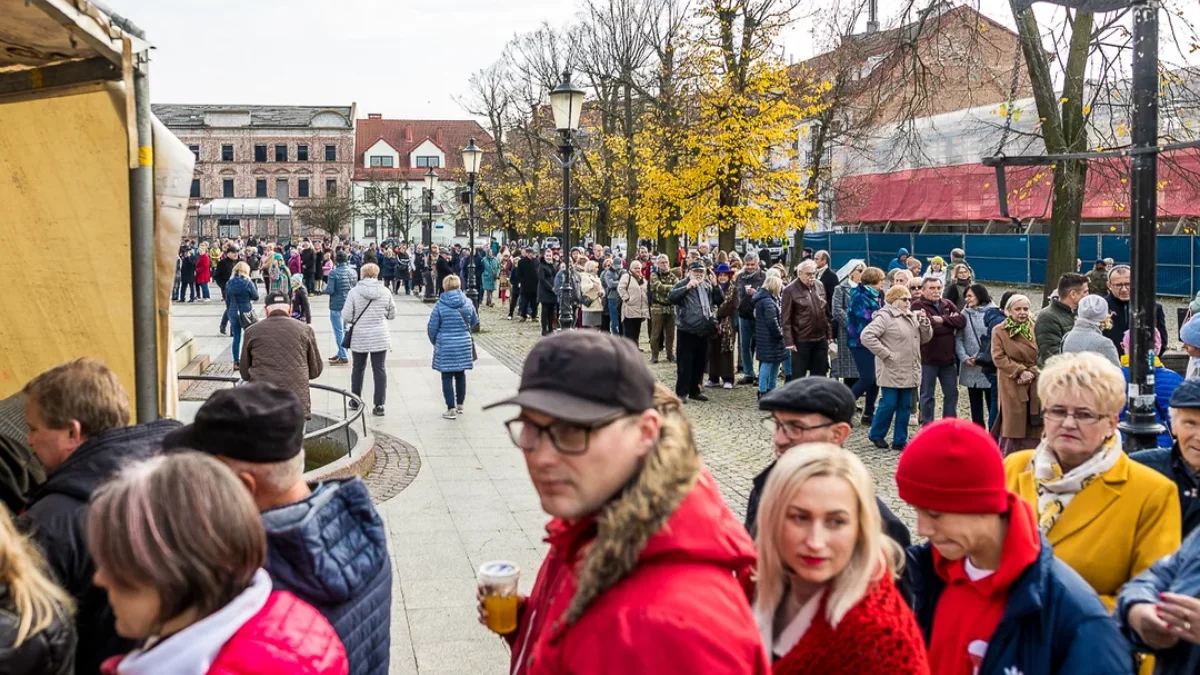 Rekonstrukcja, ognisko, siatkówka, piłka ręczna, degustacja, tańce. Co się będzie działo w weekend w Płocku i okolicy? - Zdjęcie główne