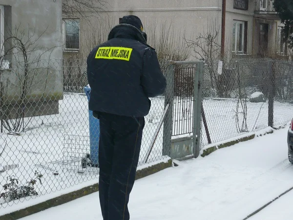 Jest biało - pamiętaj o odśnieżeniu. Straż miejska prowadzi kontrolę - Zdjęcie główne