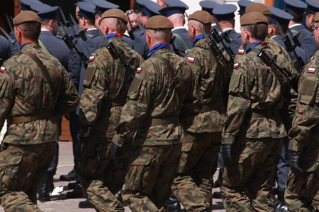 Rekordowe zainteresowanie Dobrowolną Zasadniczą Służbą Wojskową - Zdjęcie główne