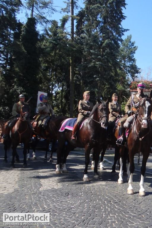 Drzewa przy Pałacu Biskupim - Zdjęcie główne